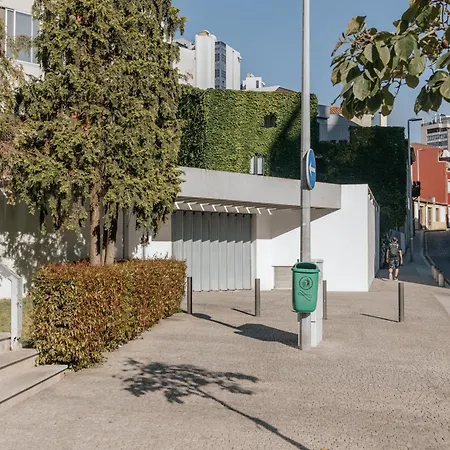 Palácio De Cristal, By Mycelia Oporto