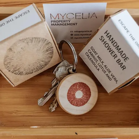 Apartamento Palácio De Cristal, By Mycelia