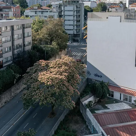 Palácio De Cristal, By Mycelia