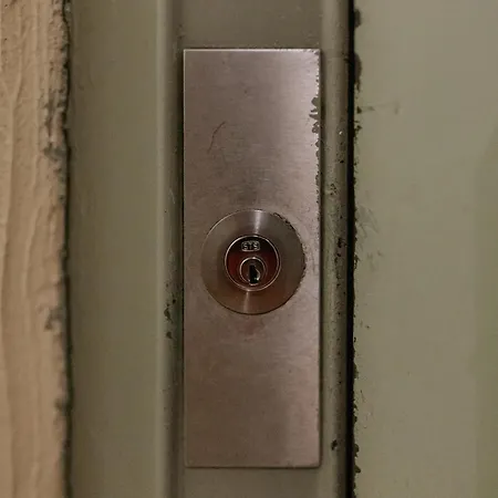 Palácio De Cristal, By Mycelia * Oporto