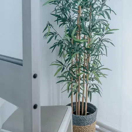 Apartamento Palácio De Cristal, By Mycelia