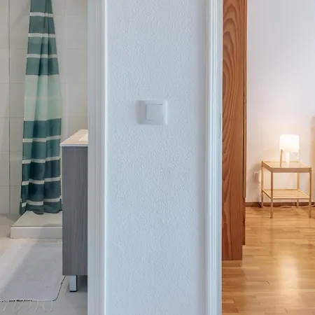 Palácio De Cristal, By Mycelia Oporto