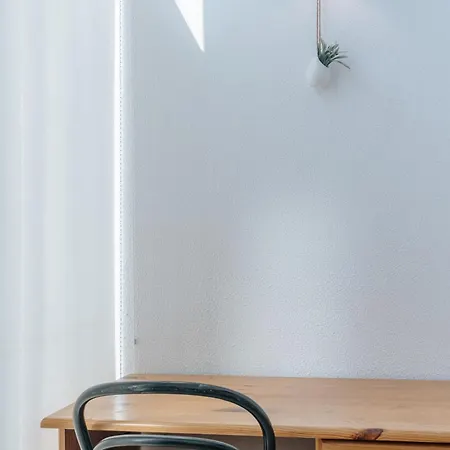 Palacio De Cristal, By Mycelia Porto