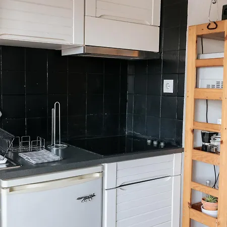 Palácio De Cristal, By Mycelia