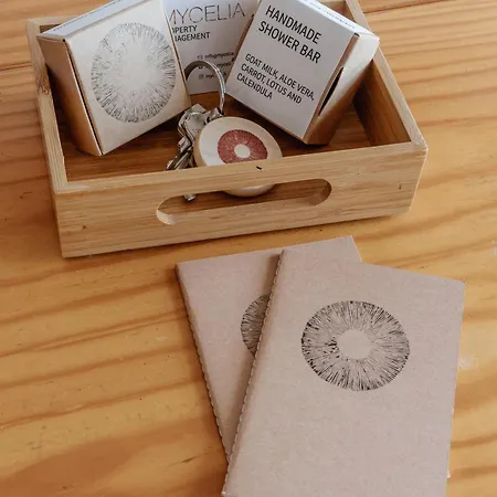 Palacio De Cristal, By Mycelia *