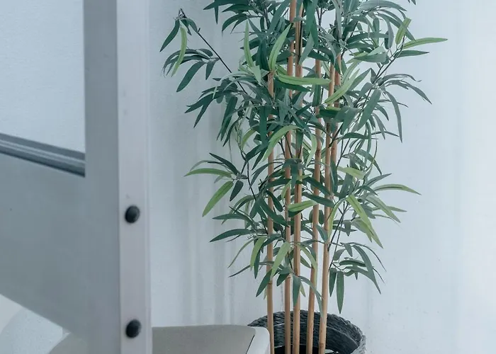 Lejlighed Palacio De Cristal, By Mycelia