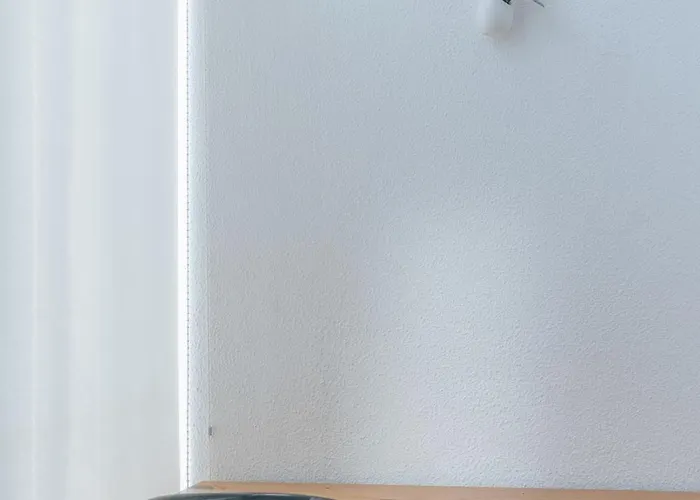 Palacio De Cristal, By Mycelia Oporto