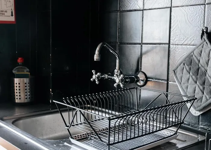 Palacio De Cristal, By Mycelia * Porto