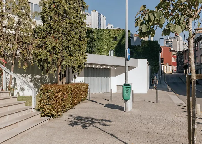 Palácio De Cristal, By Mycelia Oporto