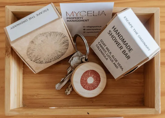 Appartamento Palácio De Cristal, By Mycelia