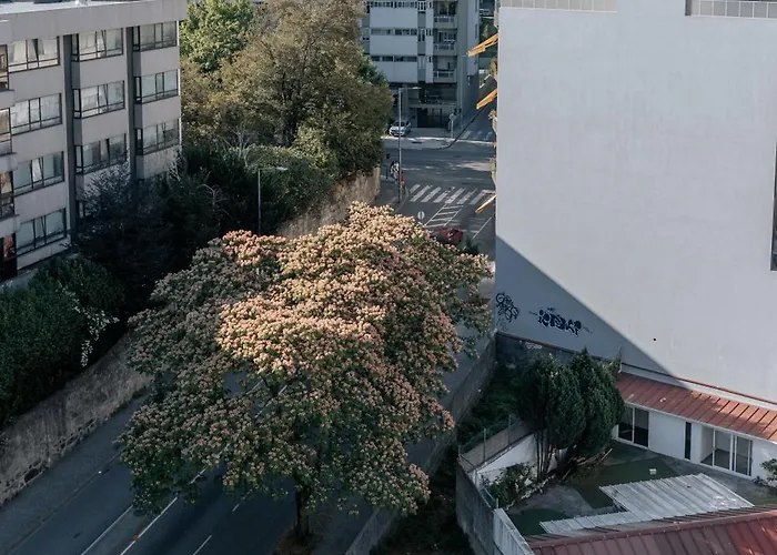 Palácio De Cristal, By Mycelia