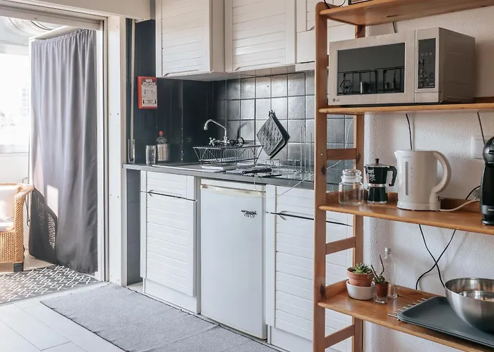 Palácio De Cristal, By Mycelia