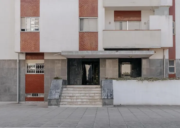 Palácio De Cristal, By Mycelia Oporto