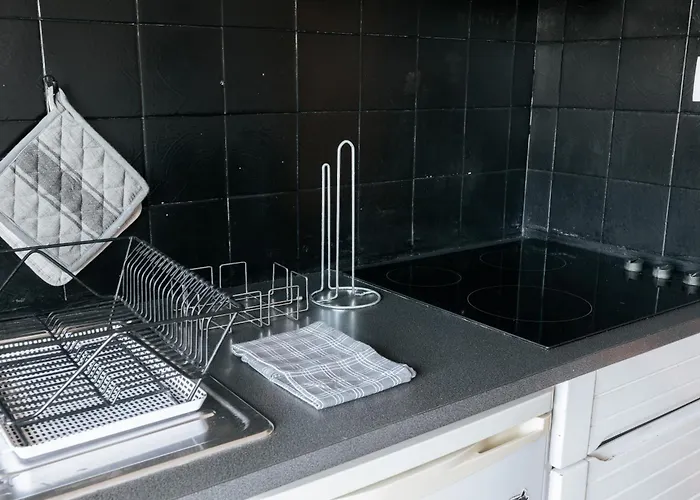 Palácio De Cristal, By Mycelia *