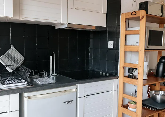 Palácio De Cristal, By Mycelia