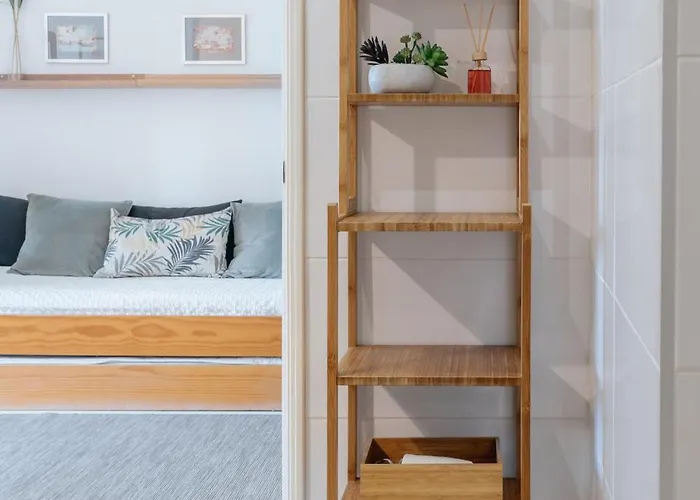 Palácio De Cristal, By Mycelia *