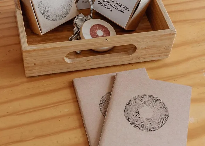 Palácio De Cristal, By Mycelia *